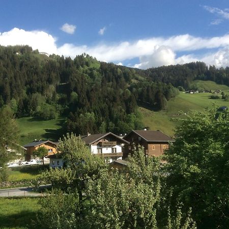 Kitzbuheler Alpen Penthouse Hollersbach Leilighet Hollersbach im Pinzgau Eksteriør bilde