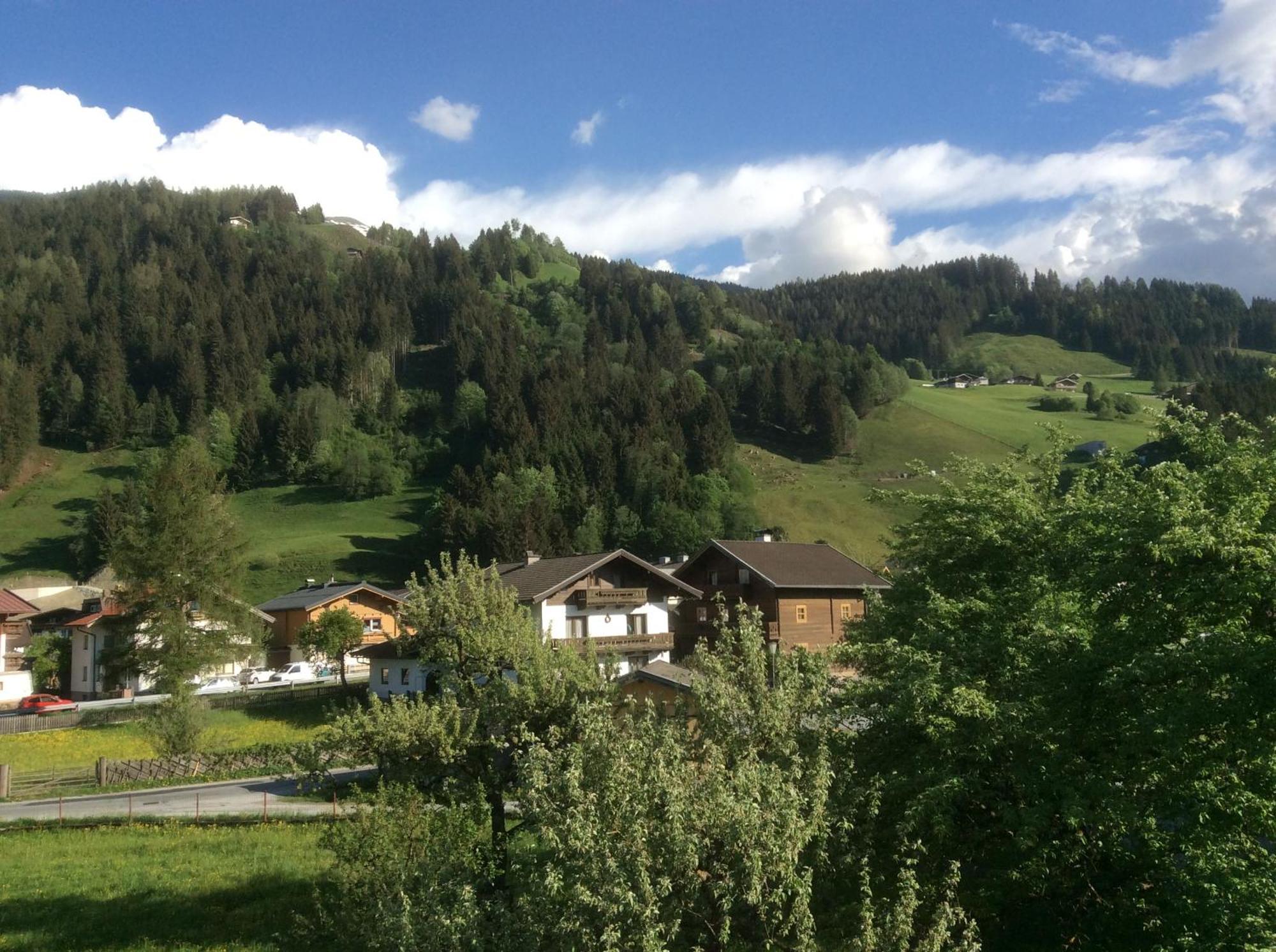 Kitzbuheler Alpen Penthouse Hollersbach Leilighet Hollersbach im Pinzgau Eksteriør bilde